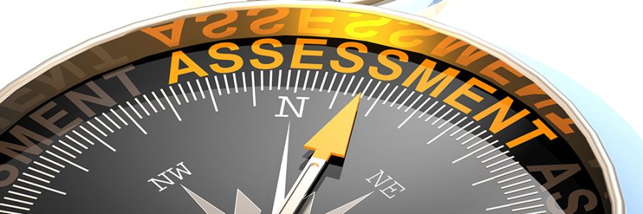 Assessment-bussola